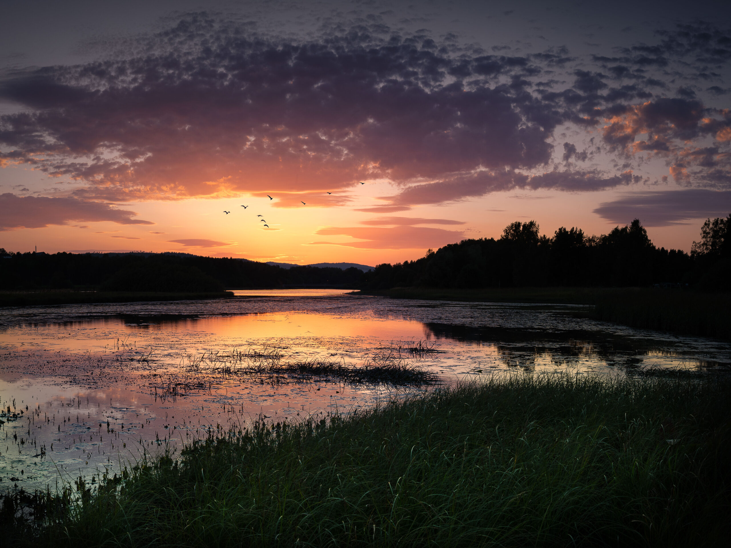 Foredrag med 3 fotografer og konkurranse 